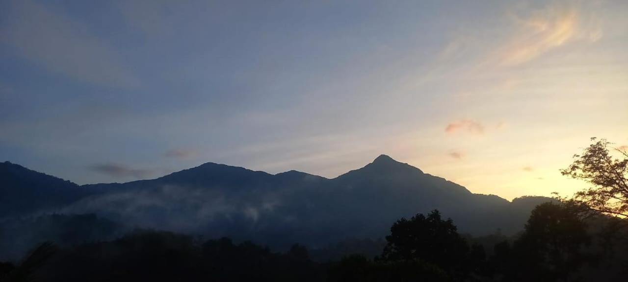 Green Magic Riverside Resort Munnar Exterior photo