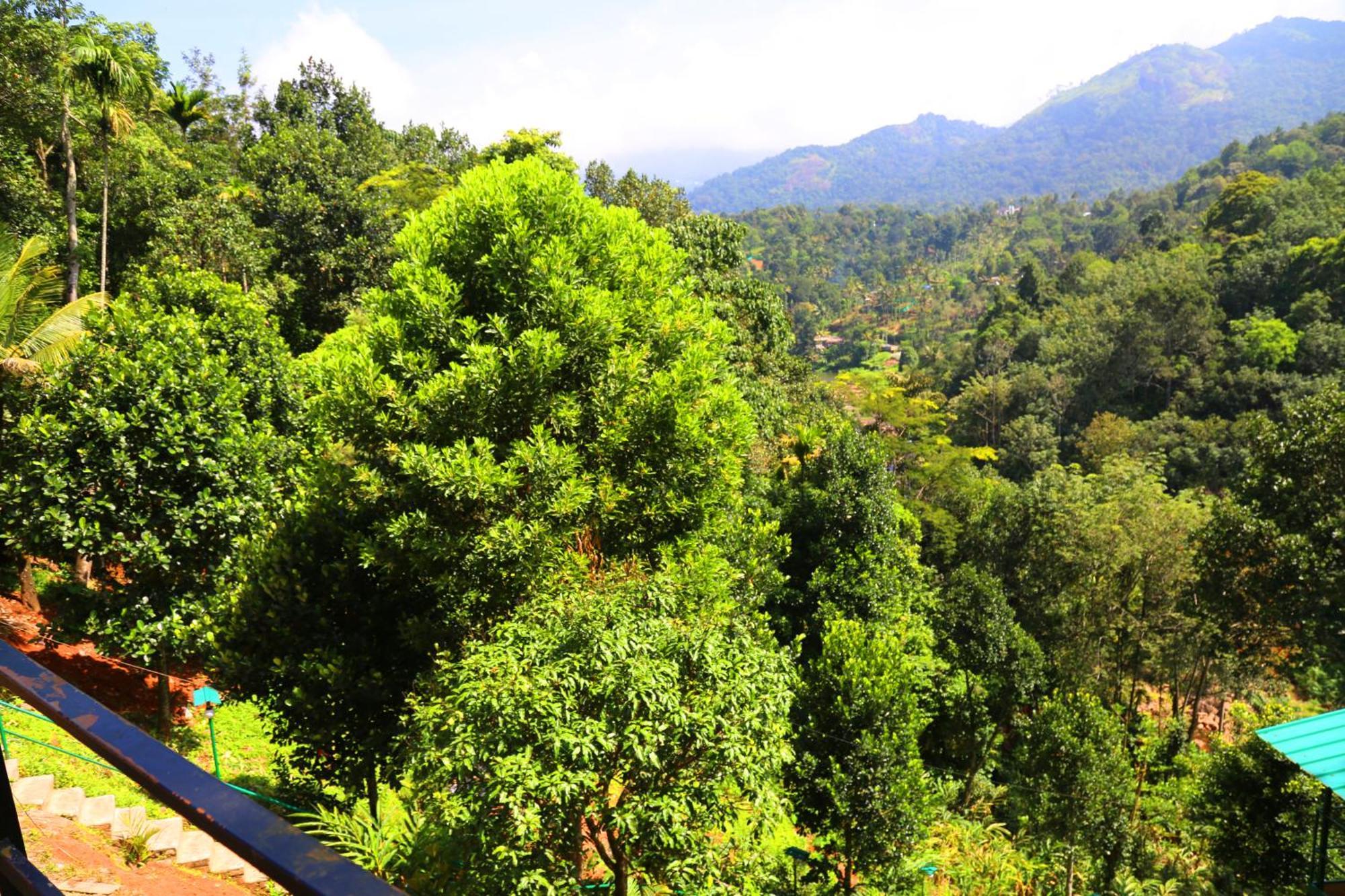 Green Magic Riverside Resort Munnar Exterior photo